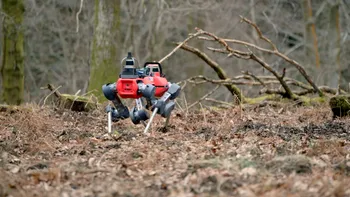 Câinii roboți care scanează pădurile pentru a preveni defrișările: Cum funcționează, de fapt, și cum ajută mediul