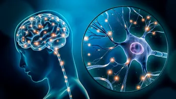 Mai multe obiceiuri simple din copilărie pot reduce riscul de Alzheimer cu până la 38%, conform unui studiu