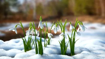 Evenimente în București în weekendul 27 februarie - 1 martie 2026. Ce să faci în Capitală în primul weekend de primăvară