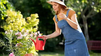 Când se udă plantele pentru a se menţine umede mai mult timp. Aşa faci economie şi la apă
