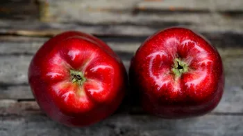 Motivul pentru care merele din comerţ sunt date cu ceară nu ţine de aspect. Nici măcar nu afectează consumatorii, spun specialiştii