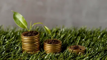 Plata pe hectar de la APIA, mai ușor de obținut în 2026. Ce fermieri sunt avantajați