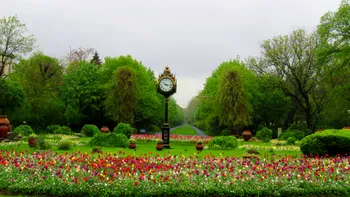 Ce poți face în București în weekendul 6-8 martie 2026, de Ziua femeii