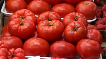 Cât costă roşiile româneşti în pieţe, în aprilie 2026. Românii, replici pentru vânzători după ce au văzut preţurile: 