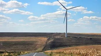 Doar 7 țări din lume produc aproape toată electricitatea din surse regenerabile, iar două sunt din Europa