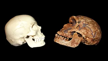 Descoperire spectaculoasă: urme ale oamenilor de acum 100.000 de ani rescriu istoria timpurie a Homo sapiens