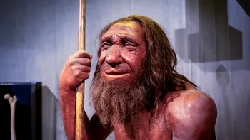 Neanderthalul n-a fost „bruta” preistoriei: cum un singur schelet a fost transformat pe nedrept în imaginea unei specii întregi