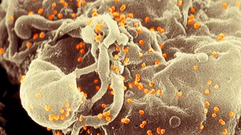 HIV ar fi putut schimba ADN-ul uman: cum au oprit tratamentele moderne evoluția forțată a sistemului imunitar