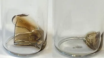 A fost inventat plasticul care se autodistruge la comandă. Dispare în șase zile, fără să lase urme de microplastice