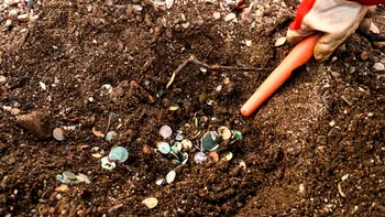 Plimbarea care a scos la lumină o avere medievală: peste 2.150 de monede, ascunse timp de 900 de ani