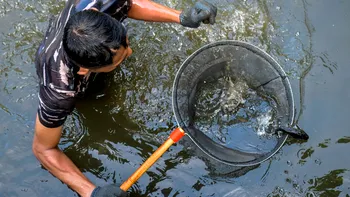 Creatura care a cucerit râurile toxice îi alarmază pe ecologiști: pare imposibil să supraviețuiască acolo