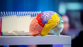 De ce nu putem face transplant de creier: operația care rămâne imposibilă chiar și pentru neurochirurgia modernă