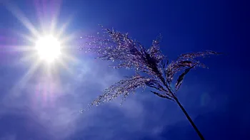 Valul de aer tropical ajunge în România. Zonele în care temperaturile vor depăşi 35 de grade