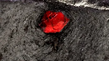 Surpriză uriașă într-un meteorit de pe Marte: oamenii de știință au găsit un mineral care nu mai fusese detectat în mostre marțiene