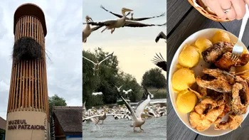 De ce să mergi la Tulcea și să vizitezi Delta Dunării, așa cum am făcut-o și eu. Experiența care ți-ar putea schimba părerea despre România noastră cea de toate zilele