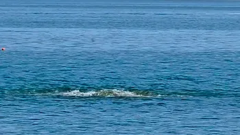 Fenomenul ciudat observat de turişti în Marea Neagră. 