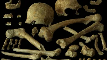 Nu erau condamnați genetic: ADN-ul ultimilor neanderthalieni schimbă misterul dispariției lor