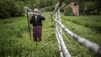 Platforma care îi duce pe turiști direct în gospodăriile de la sat. Gazdele pot câștiga bani legal, ce este programul „Viața la țară”