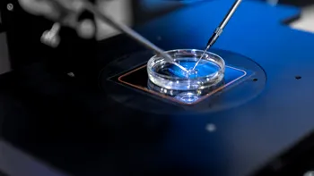 Fertilizarea in vitro, șansa tot mai multor românce de a deveni mame: „După 35 de ani, timpul contează enorm”