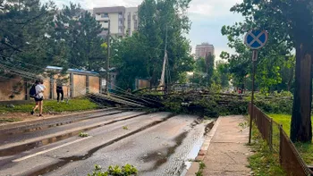 Cum pot fi evitate tragediile în timp de furtună. Motivul pentru care cad atât de mulţi copaci în Bucureşti când sunt vijelii