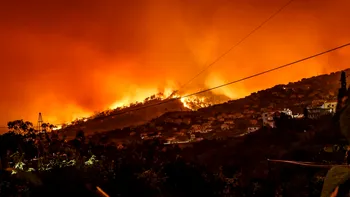 Trump amenință Canada cu taxe din cauza fumului de incendii. Ideea controversată seamănă cu mecanismul deja aplicat în UE