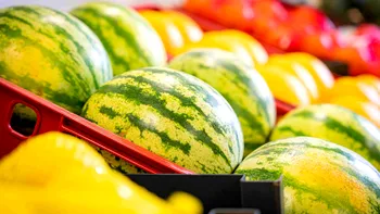 Semnele care arată că pepenii din supermarket sunt copţi şi proaspeţi. La ce să fii atent când îi alegi