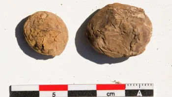 Cartofii de 500 de ani care au hrănit Imperiul Incaș: descoperirea rară făcută într-un depozit din Peru
