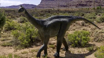 O fosilă descoperită acum 40 de ani rescrie istoria dinozaurilor din Antarctica