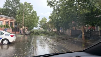 RO-ALERT, din nou în centrul controverselor după codul roșu din București. Ce spun românii: 