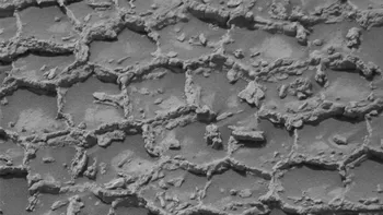 Curiosity a găsit pe Marte roci ca un fagure uriaș. NASA încearcă să afle ce le-a format