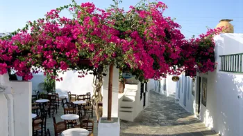 Insula din Grecia cu plaje spectaculoase și mâncare ieftină. Aici poți găsi preparate delicioase la doar 3 euro
