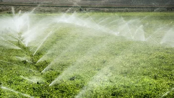 Fermierii, ajutați înainte de noul sezon agricol. Ce prevede noul pachet votat în Parlamentul European