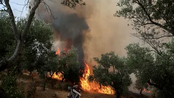 Incendii puternice în Grecia. Evacuări masive pe mai multe insule. Ce trebuie să știe românii care merg în vacanță