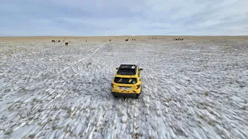 Dacia Duster cu vibrații la viteze mari: anvelope, cardan, planetare sau geometrie