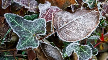 Valul de aer polar ajunge în România. Zonele în care scad temperaturile în următoarele ore