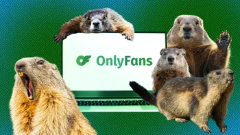 Cercetătorii au ajuns pe OnlyFans ca să salveze un studiu de 60 de ani. Acum, o criptomonedă cu marmote le-a adus peste 100.000 de dolari