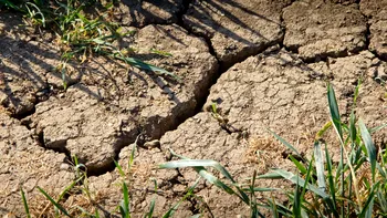 Ce este seceta pedologică extremă și cum afectează agricultura și economia. ANM menține codul roșu de caniculă