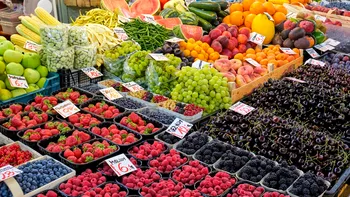 „Diamantul fructelor” în România, o afacere profitabilă. Fructul din care se pot face bani frumoși