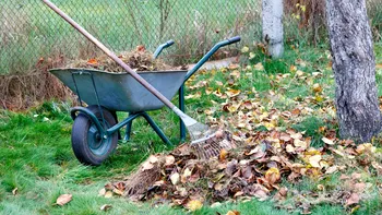 Ce nu ai voie să arzi în curte, chiar dacă terenul îți aparține. Legea prevede inclusiv pedeapsa cu închisoarea