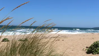 Unde merg turiștii care încă aleg litoralul românesc și de ce. Locurile despre care spun că „nu simți că ești în România”: 