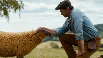 „The Sheep Detectives” a ajuns pe Prime Video: misterul cu oi pe care l-am văzut la cinema și merită să-l descoperi acasă