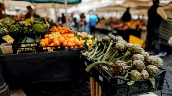Cultura care poate valora cât un apartament după o singură recoltă. Produce peste 20 de tone la hectar