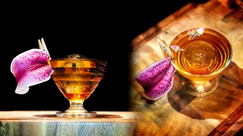 Cum faci un cocktail modern clasic din 2018 inspirat de Al Doilea Război Mondial - Reno cu Montenegro, Suze și Americano