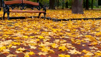 Prognoza meteo pentru septembrie 2026. Fenomenul periculos care va da vremea peste cap în prima lună de toamnă