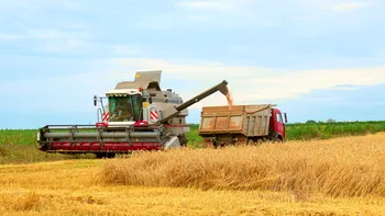 România ar putea deveni al patrulea mare producător de cereale din UE. Prognoza Comisiei Europene indică un an record