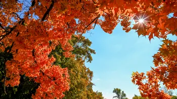 Temperaturi de vară în România, în plină toamnă. Unde ar putea fi peste 30 de grade în octombrie