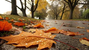 Iarna și-a făcut apariția la munte. Temperaturi de -5 grade și primii fulgi de zăpadă la Bâlea Lac