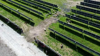 Parcurile eoliene și solare scad prețul caselor? Un studiu de 20 de ani oferă un răspuns surprinzător