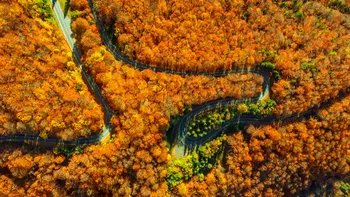 „Tunelurile” aurii ale României. Drumurile spectaculoase pe care merită să le parcurgi în octombrie