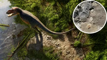Un profesor de liceu a făcut o descoperire uluitoare: urmele unui T. rex adult, păstrate de 66,5 milioane de ani